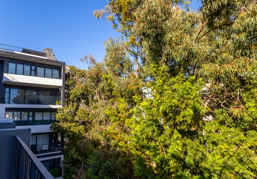 To Let 2 Bedroom Property for Rent in Sea Point Western Cape